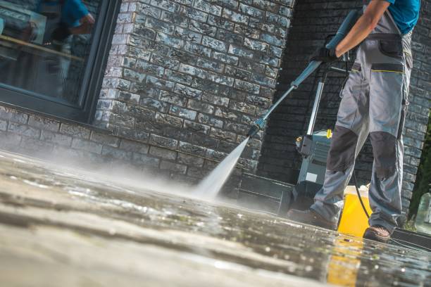 Best Gutter Cleaning  in Somerset, WI